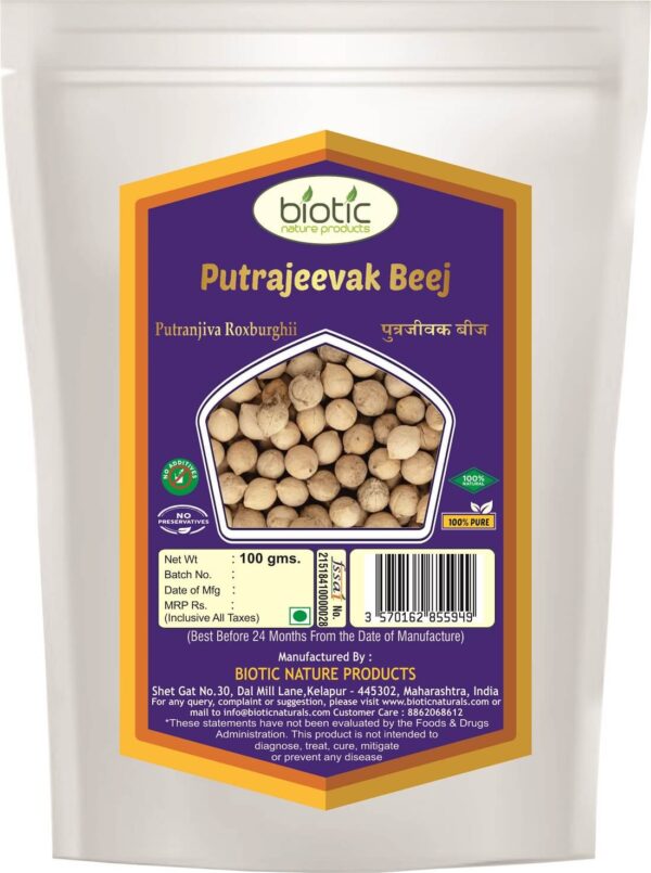 Putrajeevak Seed/Beej - Herbs for female infertility and improve reproductive system and for uterus and ovaries